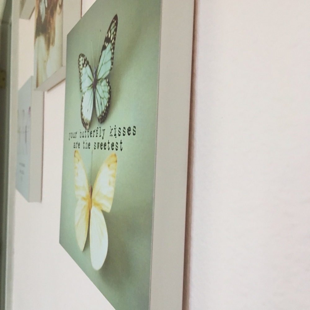 BUTTERFLY Wall ART -5pc